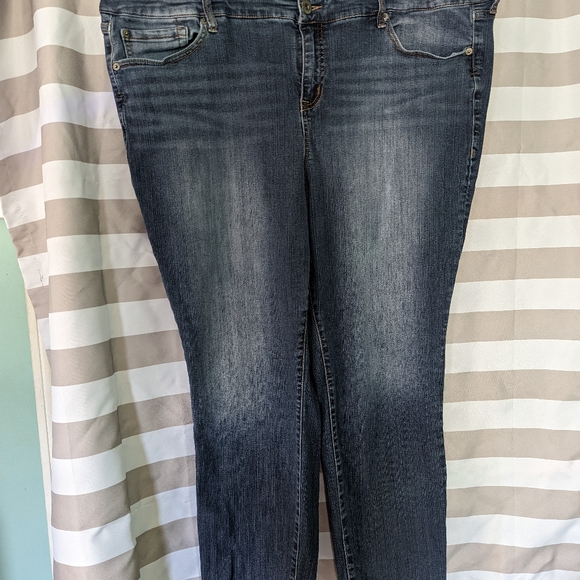 torrid Denim - Torrid Skinny Jean 24R